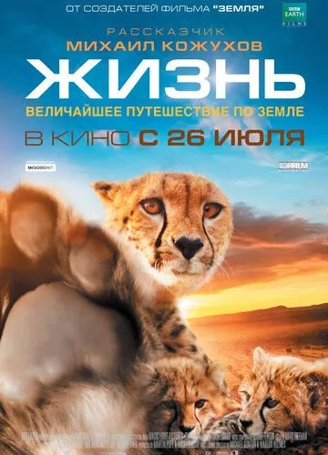 Одне життя (2011)