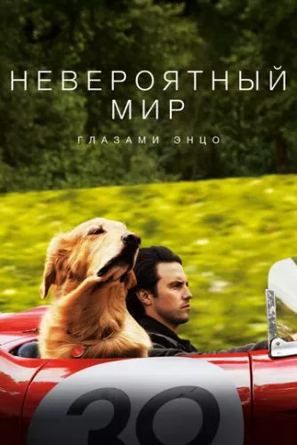 Очима собаки (2019)