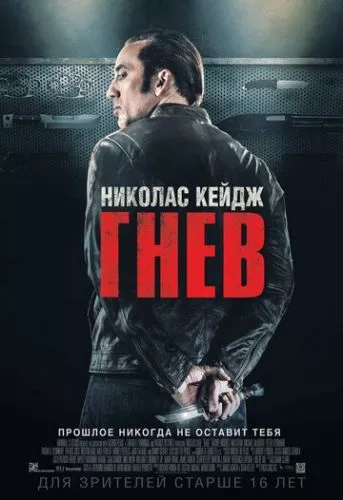 Токарев (2014)